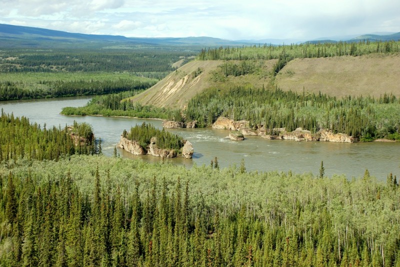 Yukon River at Five Finger Rapids | Carmacks, Yukon Territory | June, 2011