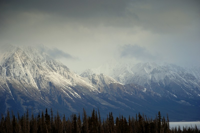 St. Elias Mts. | Haines Jct., Yukon Territory | May. 2013