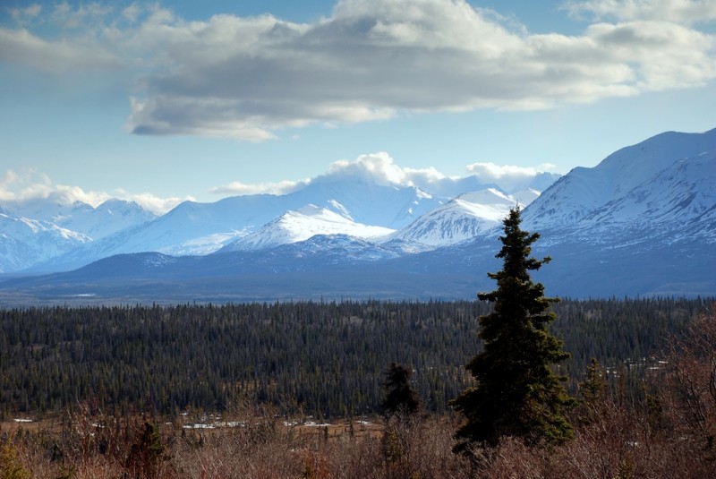 St. Elias Mts. | Haines Jct., Yukon Territory | May, 2013