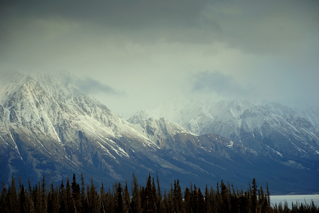 St. Elias Mts. | Haines Jct., Yukon Territory | May, 2013